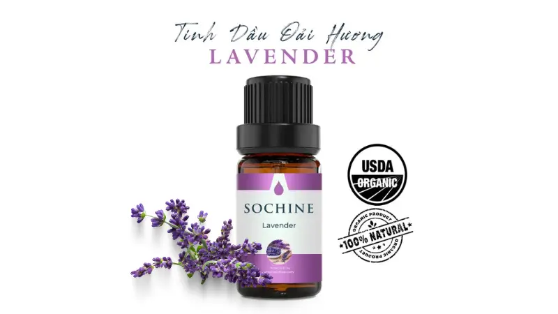 Tinh dầu oải hương lavender