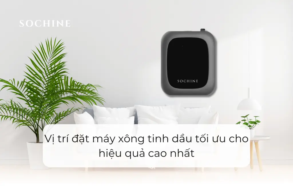 Vị trí đặt máy xông tinh dầu tối ưu cho hiệu quả cao nhất