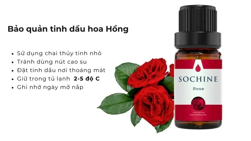 cách bảo quản tinh dầu hoa Hồng