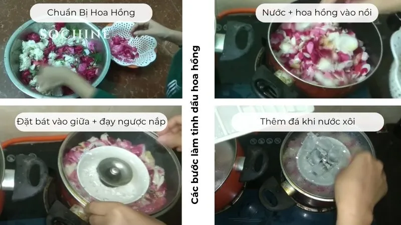 Các bước làm tinh dầu hoa hồng giản