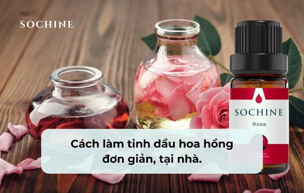 Cách làm tinh dầu hoa hồng nguyên chất đơn giản