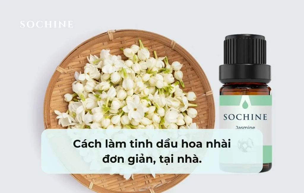 Cách làm tinh dầu hoa nhài đơn giản