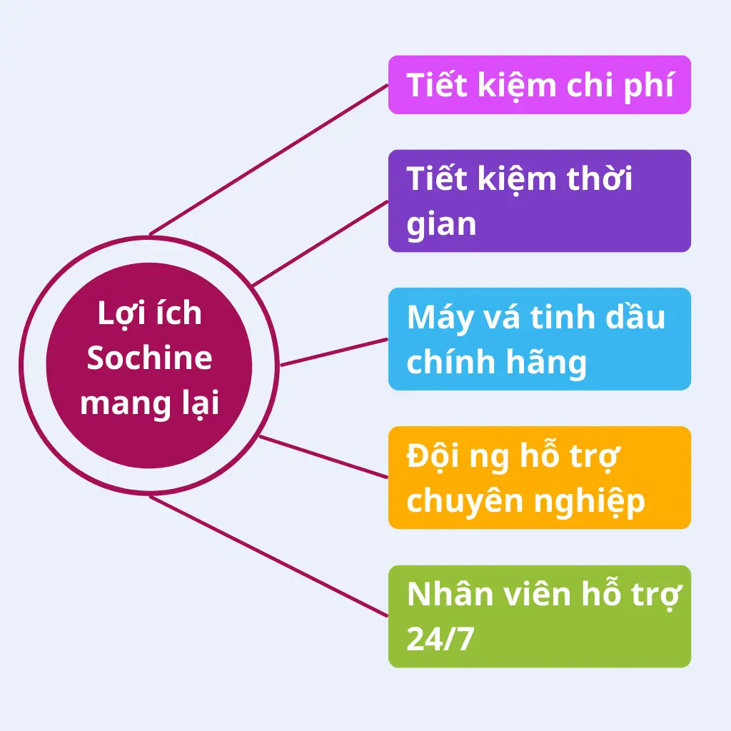 Lợi ích Sochine mang lại