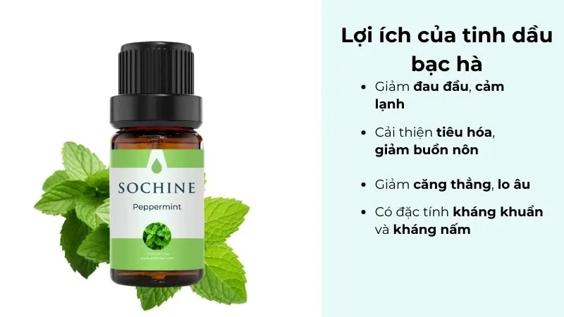 những lợi ích mà tinh dầu bạc hà đem lại