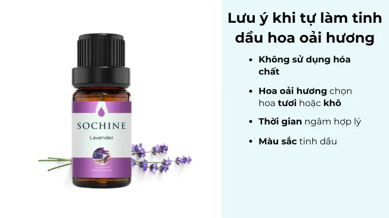 lưu ý khi tự làm tinh dầu hoa oải hương