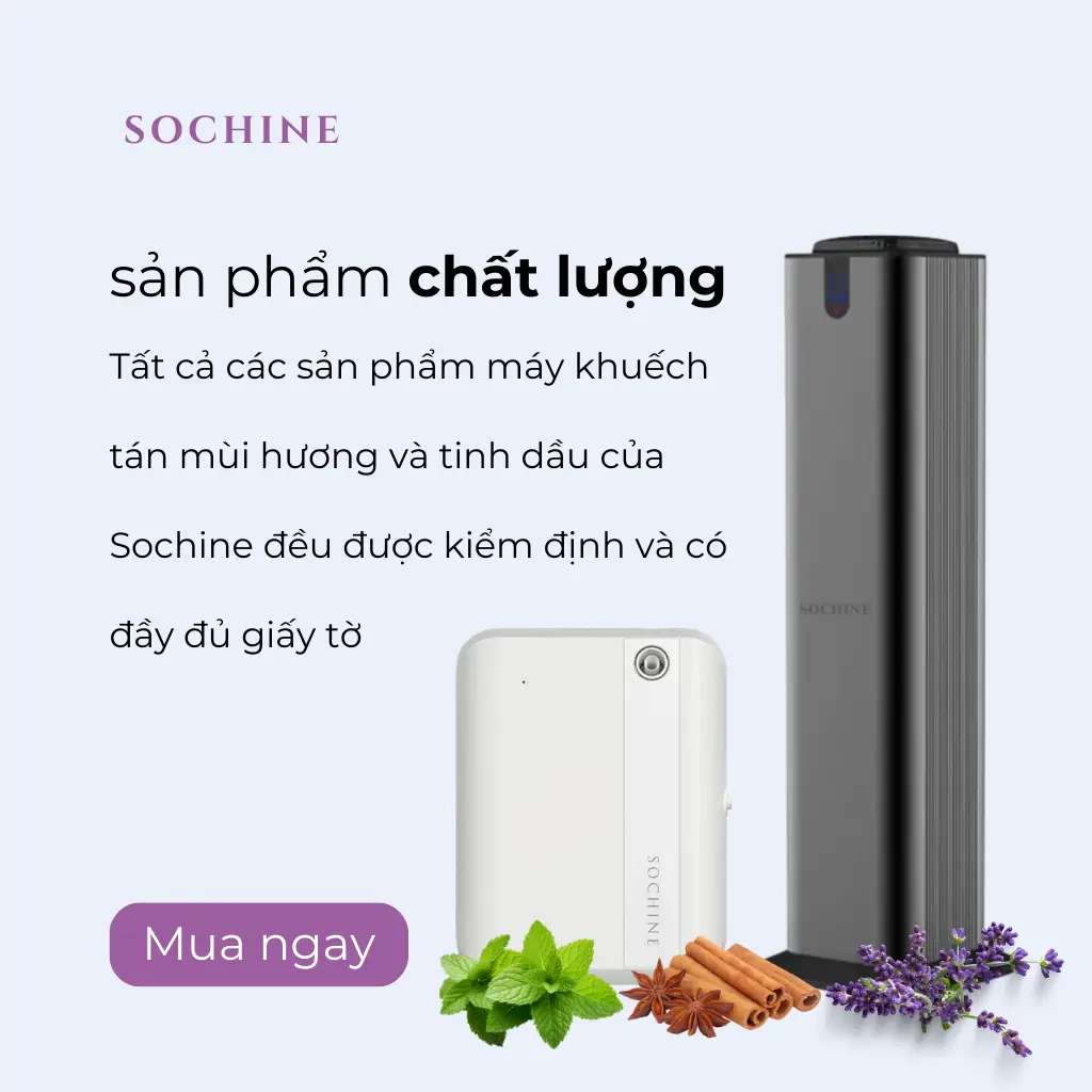 thuê máy khuếch tán tinh dầu chất lượng sochine