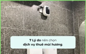 7+ Lý do nên chọn dịch vụ thuê mùi hương tại sochine