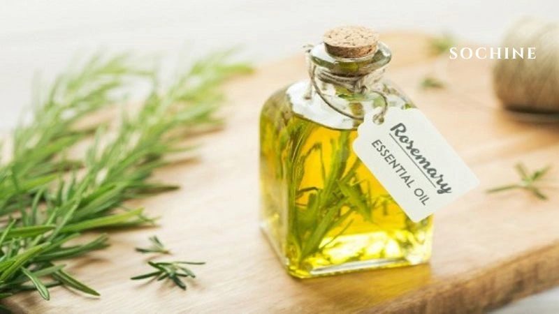 Rosemary là gì? Công dụng và cách sử dụng hiệu quả trong đời sống 6 Dùng tinh dầu Rosemary( hương thảo)
