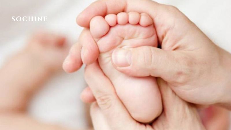 Cajeput (Tinh Dầu Tràm Gió) Là Gì? Công Dụng Và Cách Dùng Hiệu Quả 6 Xông hương tinh dầu Cajeput