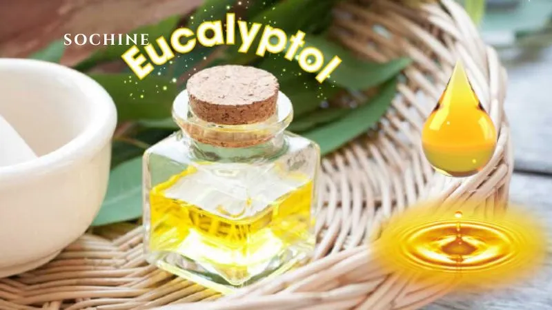 Eucalyptol là gì? Tìm hiểu lợi ích, ứng dụng của Eucalyptol 6 lưu ý khi sử dụng Nên sử dụng Eucalyptol