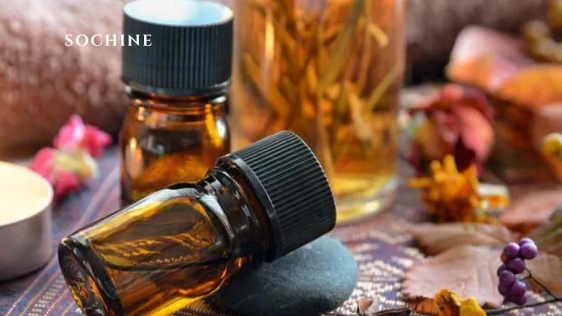 Sandalwood là gì? Tìm hiểu tất tần tật về Sandalwood 5 mùi gỗ đàn hương (sandalwood)