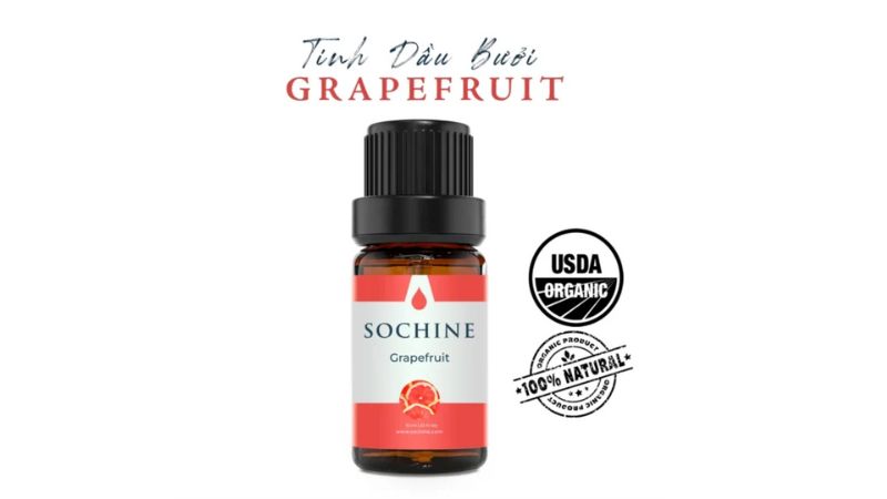 Grapefruit (bưởi chùm) là gì? 8 lợi ích và những cách dùng hiệu quả! 6 Tinh dầu bưởi hồng Grapefruit nhà Sochine
