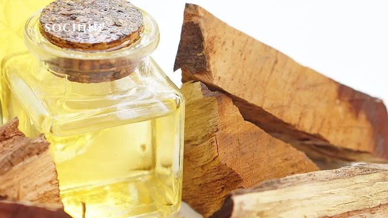 Sandalwood là gì? Tìm hiểu tất tần tật về Sandalwood 6 Tinh dầu đàn hương sandalwood