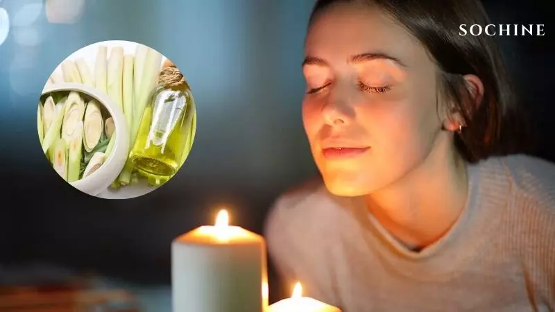 Lemongrass là gì? Công dụng, cách dùng và những lưu ý quan trọng 3