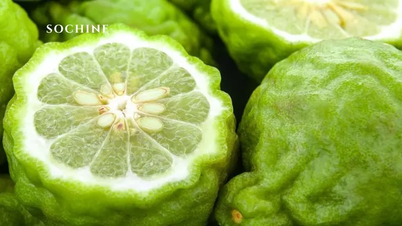 bergamot là gì