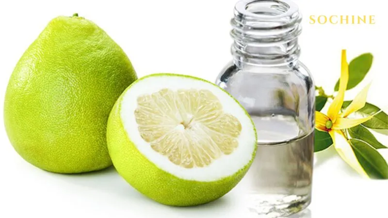 Pomelo là gì? Công dụng và cách phân biệt với Grapefruit 6