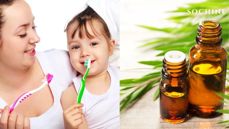 Tea tree là gì? Tác dụng và cách phân biệt với tràm gió 5 Chăm sóc răng miệng với tea tree