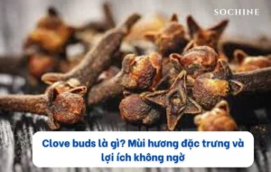 clove buds - nụ đinh hương