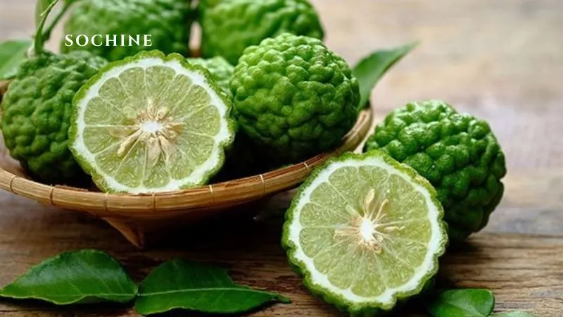 đặc điểm của bergamot
