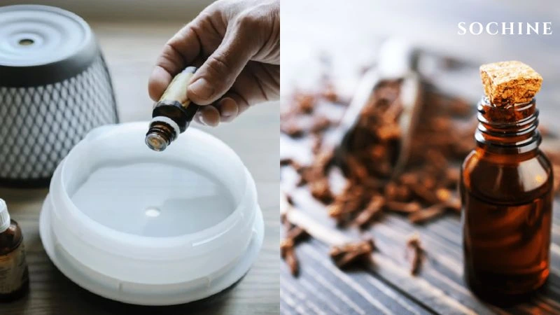 Clove buds là gì? Mùi hương đặc trưng và những lợi ích không ngờ! 5 Khuếch tán tinh dầu đinh hương trong không khí