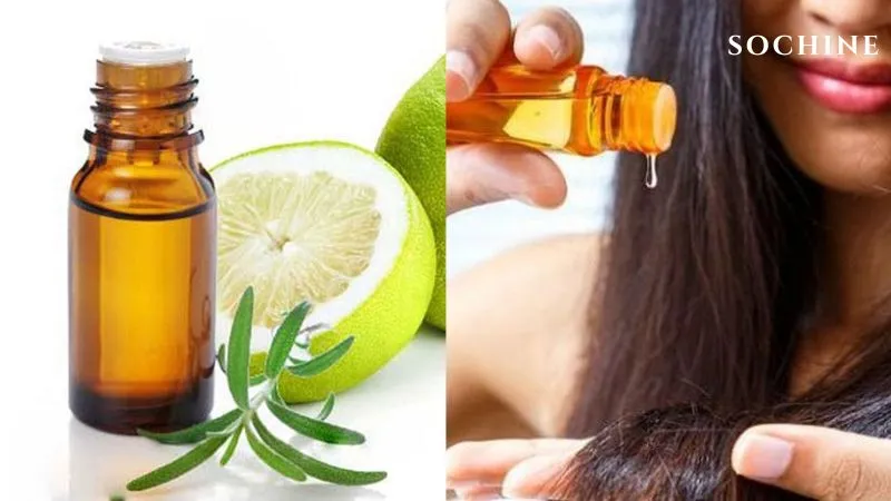 Pomelo là gì? Công dụng và cách phân biệt với Grapefruit 5