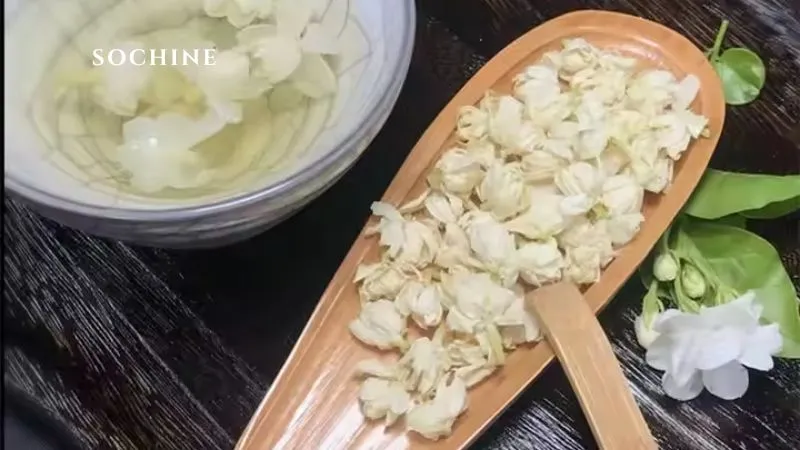 Jasmine là gì? Vẻ đẹp của hương thơm thuần khiết của hoa Nhài 5 lợi ích của Jasmine là gì