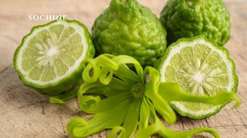 lợi ích làm đẹp của bergamot
