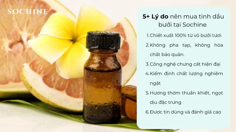 Pomelo là gì? Công dụng và cách phân biệt với Grapefruit 7 Lợi ích mua tinh dầu bưởi tại Sochine
