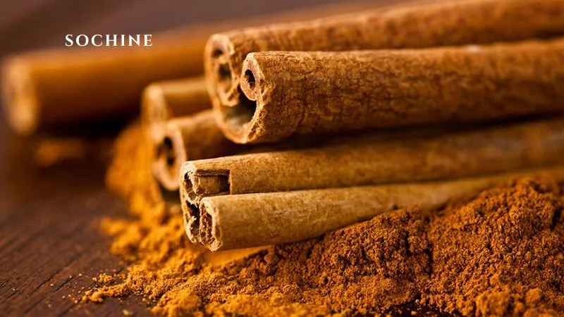 Cinnamon là gì? Gia vị kỳ diệu cho sức khỏe và ẩm thực 6 lưu ý khi sử dụng Cinnamon