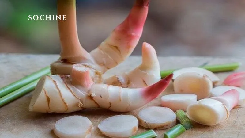 Galangal là gì? 6 lợi ích của Galangal với sức khỏe 5 lưu ý khi sử dụng Galangal