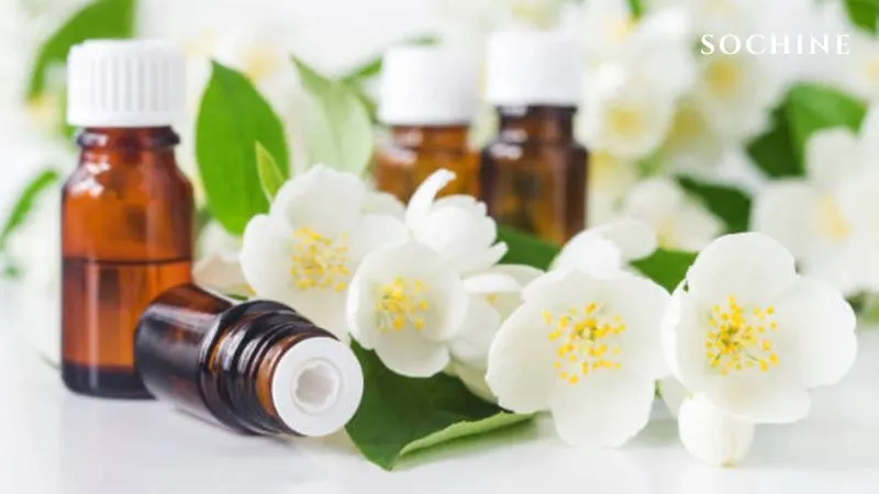Trà trắng (White Tea) là gì? Công dụng, cách dùng hiệu quả. 6 Sử dụng tinh dầu trà trắng tiện lợi