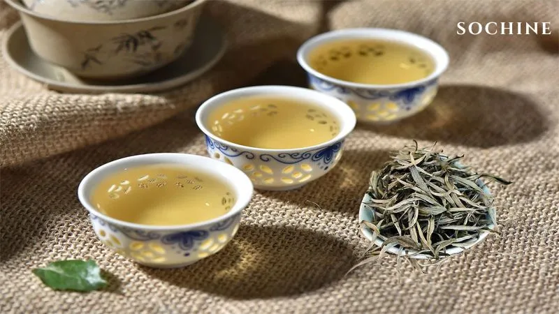 Trà trắng (White Tea) là gì? Công dụng, cách dùng hiệu quả. 5 Thưởng thức nước trà trắng