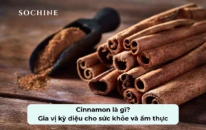 tìm hiểu về Cinnamon