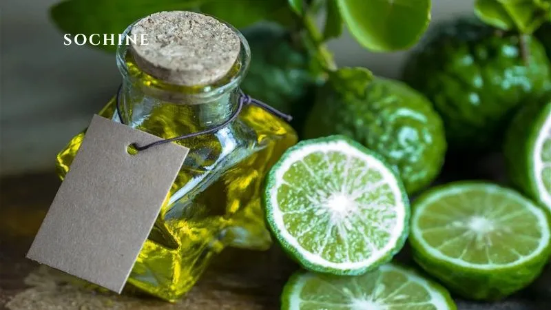 tinh dầu bergamot