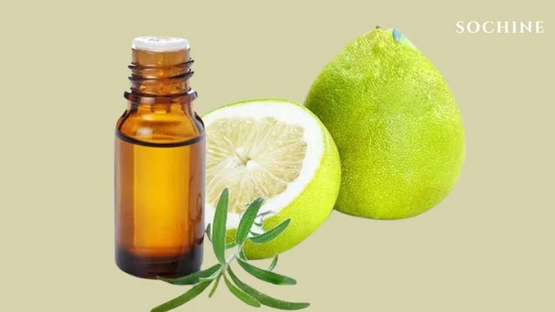 Pomelo là gì? Công dụng và cách phân biệt với Grapefruit 4