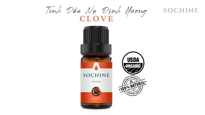 Clove buds là gì? Mùi hương đặc trưng và những lợi ích không ngờ! 6 Tinh dầu nụ đinh hương nhà Sochine