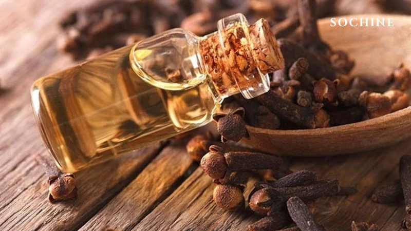 Clove buds là gì? Mùi hương đặc trưng và những lợi ích không ngờ! 3 Tinh dầu đinh hương có màu vàng nhạt hoặc nâu đậm