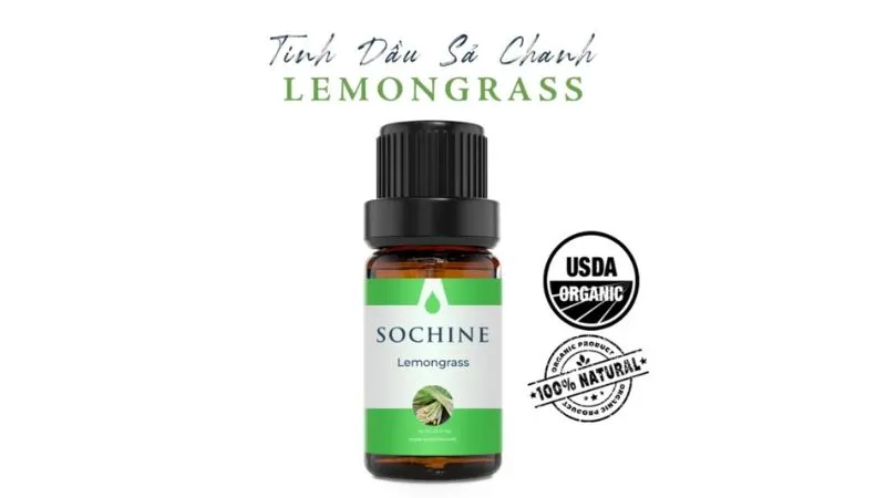Lemongrass là gì? Công dụng, cách dùng và những lưu ý quan trọng 7