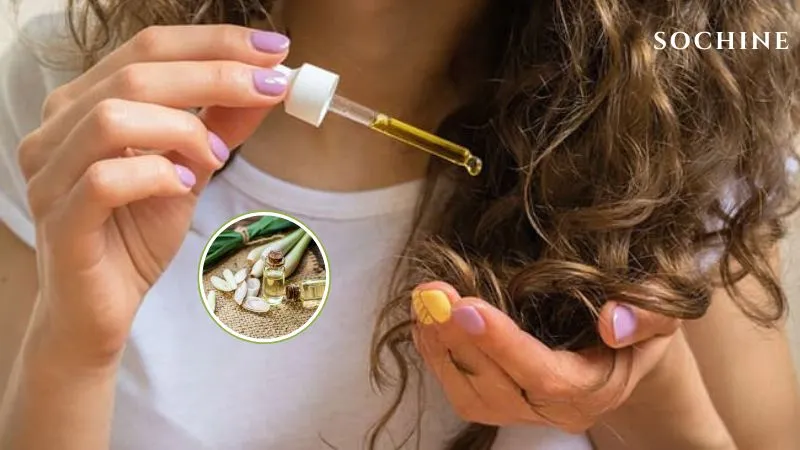 Citronella (sả Java) là gì? Công dụng và cách phân biệt với sả chanh 5 Tinh dầu sả Java chăm sóc tóc, làm sạch da đầu