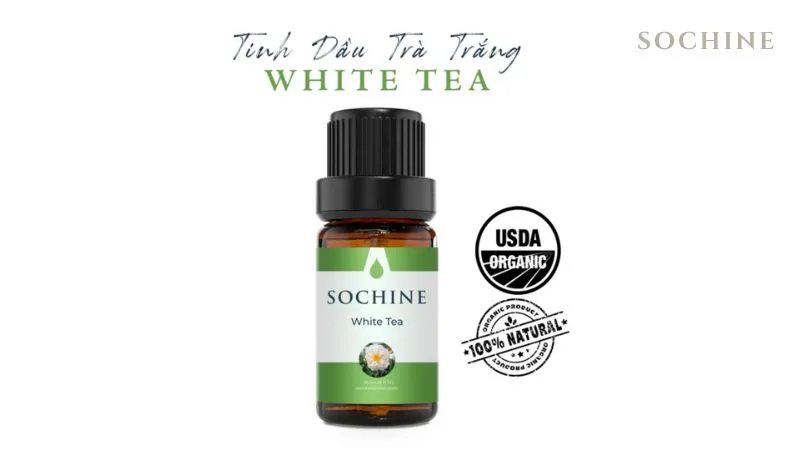 Trà trắng (White Tea) là gì? Công dụng, cách dùng hiệu quả. 7 Tinh dầu trà trắng nhà Sochine