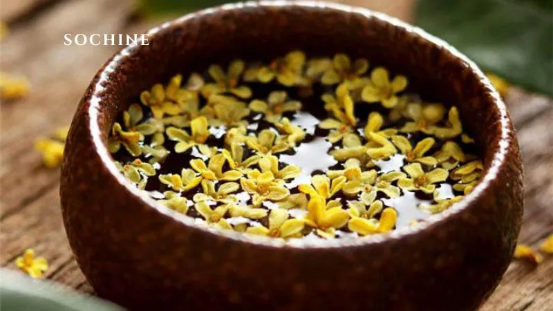 Osmanthus là gì? Hương thơm quyến rũ và những điều cần biết 4 trà hoa Osmanthus