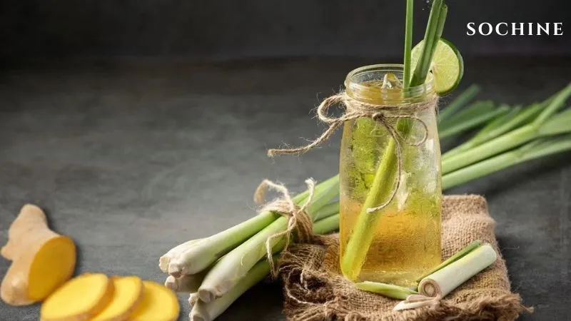 Lemongrass là gì? Công dụng, cách dùng và những lưu ý quan trọng 5