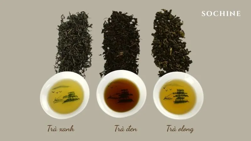 Trà trắng (White Tea) là gì? Công dụng, cách dùng hiệu quả. 3 Trà trắng khác biệt với các loại trà khác