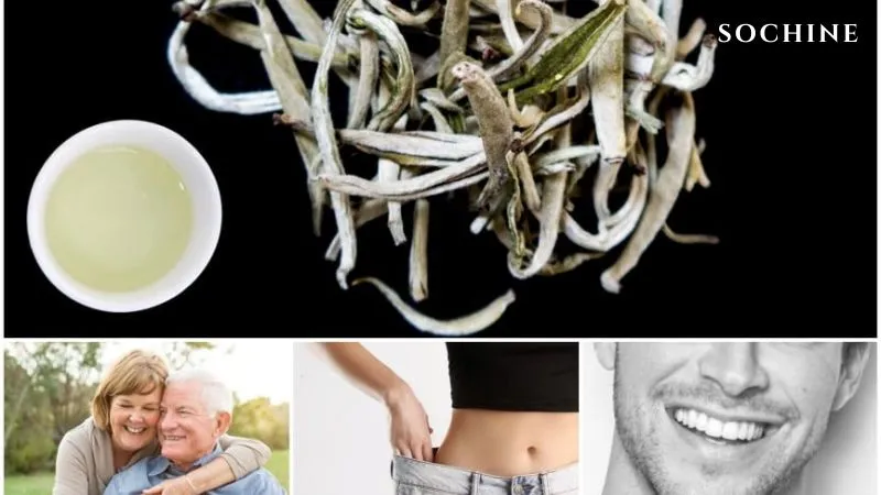 Trà trắng (White Tea) là gì? Công dụng, cách dùng hiệu quả. 4 Trà trắng và những công dụng của nó