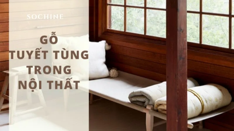 Cedarwood là gì? 5 công dụng tuyệt vời của Cedarwood 4 úng dụng của cedarwood